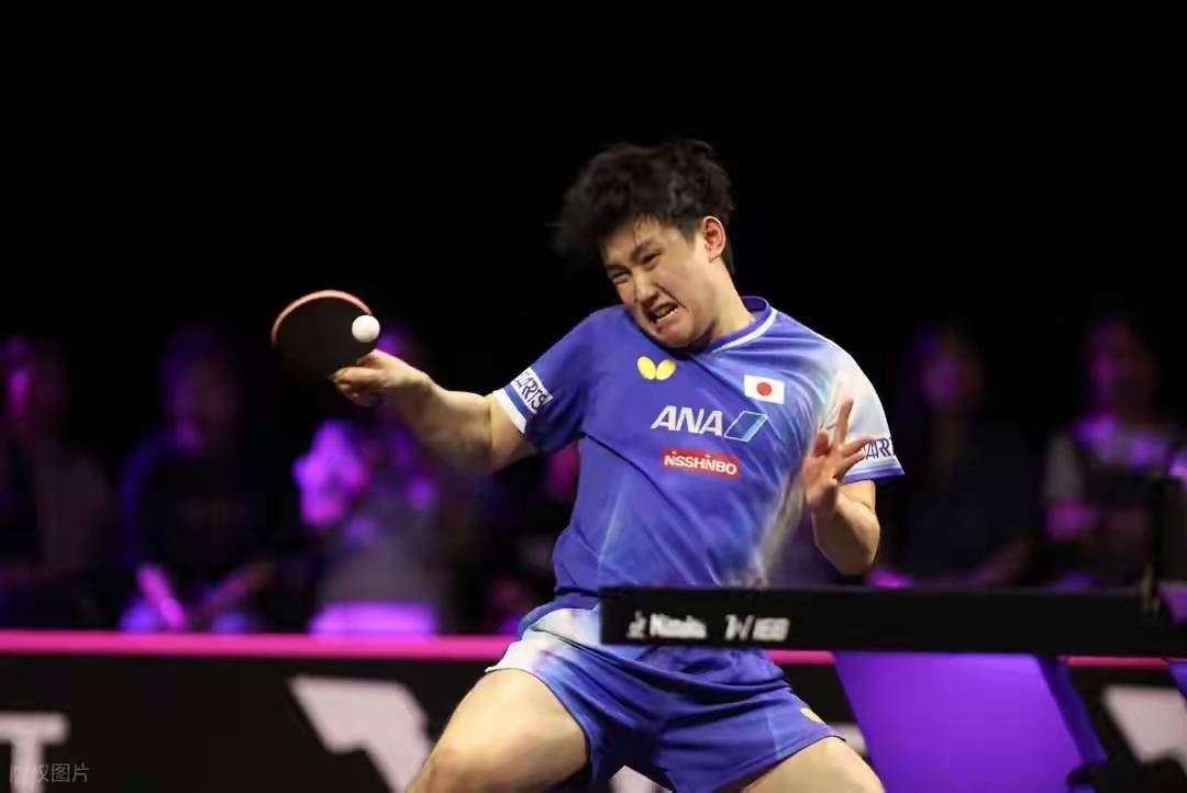 日本队碾压波兰队，张本智和关键制胜
