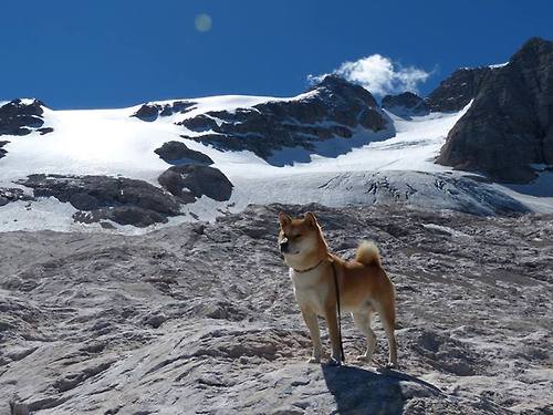 上海队对阵马刺,当太空来客文班亚马在季前赛写下宇宙级数据